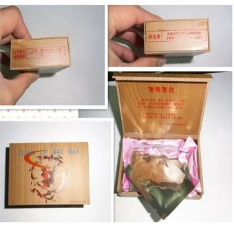 Artificial Hymen Repair Kit